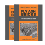 Fly Ash Bricks
